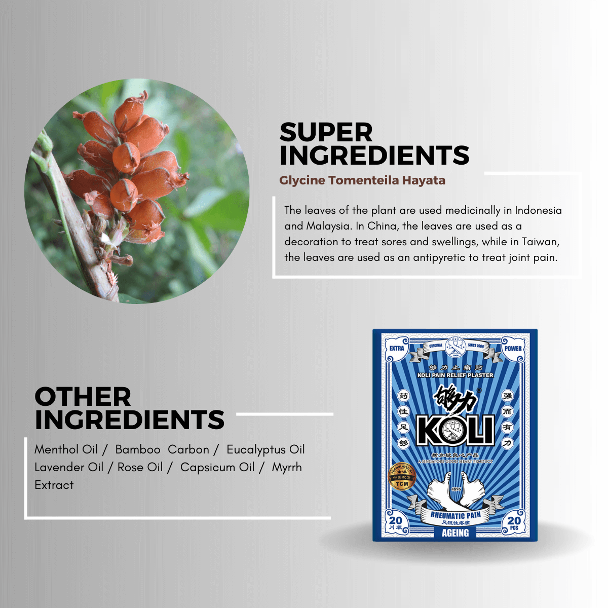 KOLI AGEING Pain Relief Plaster (EXTRA POWER) - BOX SET