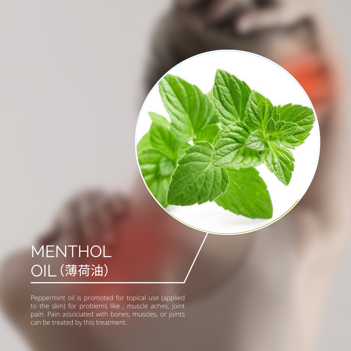 KOLI CLASSIC Pain Relief Plaster (STRONG POWER) - BOX SET